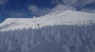 壮観　樹氷オンパレード　２つの樹氷　雪上車とロープウエイ２