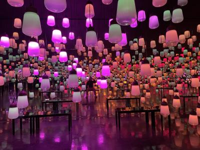 どこへ行っても麺が主食♪ 佐賀の旅 2日目《楽園の裏側と木漏れ日編》