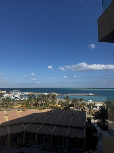 [4日目]紅海ハルガダにて悲劇のダイビングキャンセル、、砂漠・海で乗馬