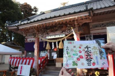 いちご狩りに栃木に行く旅 2日目-4 千代ヶ岡八幡宮編