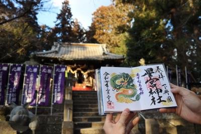 いちご狩りに栃木に行く旅 2日目-5 下野星宮神社編