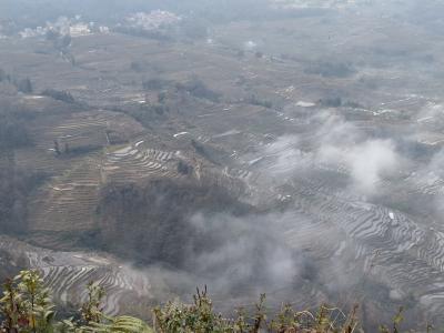 雲南省 元陽 泸西 羅平に行ってきた➀