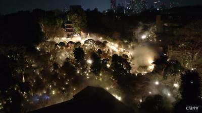 椿山荘で東京雲海 202501椿山荘①