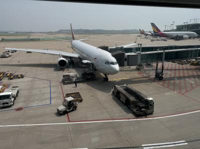 AAR（アシアナ）バンコク搭乗記2024/08　その2(BKK-ICN-NRT C)：復路　OZビジネス　初めての韓国入国
