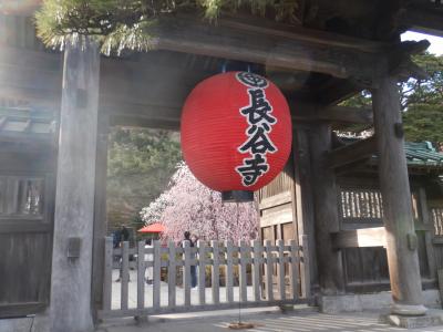鎌倉散歩　梅を見に長谷寺へ