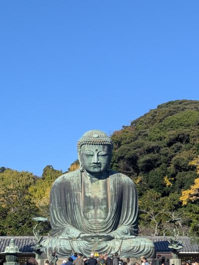 鎌倉散策~大仏を見てしらすを食べる