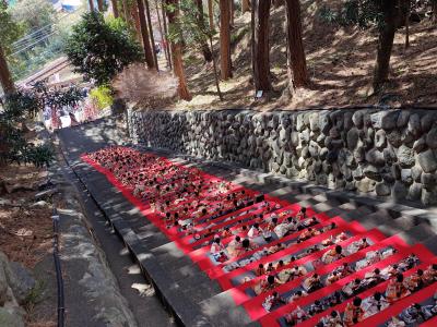 2025年2月 母と巡る伊豆③：稲取 素戔嗚神社の雛段飾り