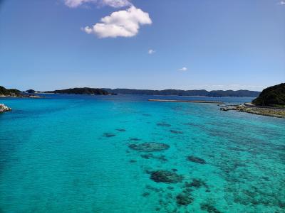 2025年2月　おひとりさまで行く！沖縄お旅（後編）泊港から初慶良間・阿嘉島日帰り旅