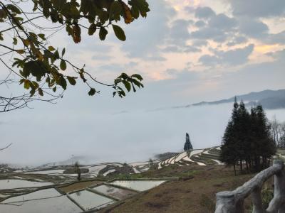 雲南省 元陽 泸西 羅平に行ってきた②