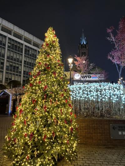 ソウルのクリスマス、アラカン婦人お散歩食べ歩き旅