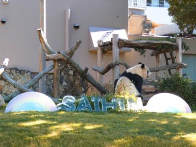 パンダファミリーファン感謝DAY 2ndに行ってきた!