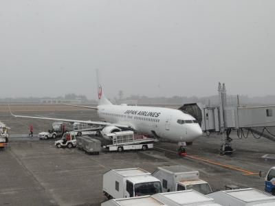 帯広＆鹿児島弾丸日帰り旅で行くはずが・・・帯広空港大雪で欠航に！！