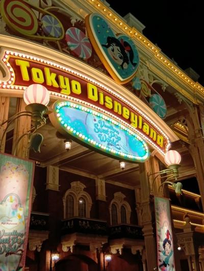 大寒波の中でのディズニーランド