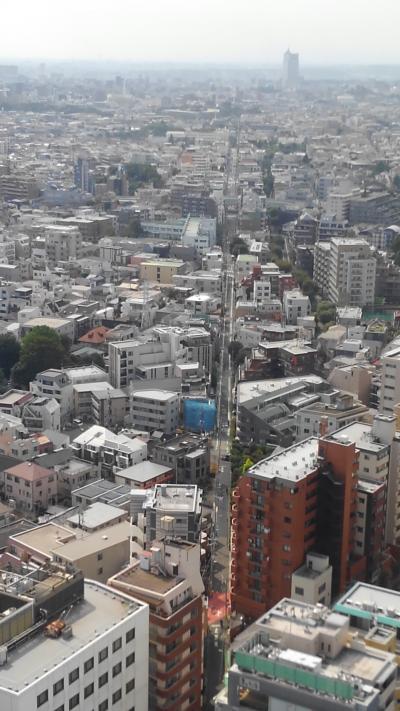 三軒茶屋の風景