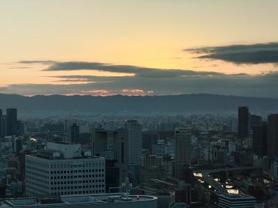 大阪ステーションホテル滞在記
