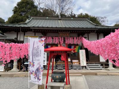 日光例幣使街道を行く【第２回】　静和→太田