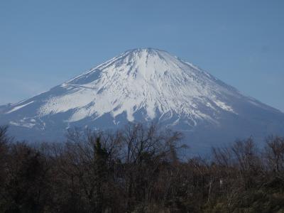 バスタ新宿から名古屋まで高速バスに乗りました。富士山がよく見えました。