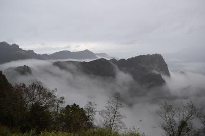 年末年始☆台湾　初日の出を見に阿里山へ　阿里山編