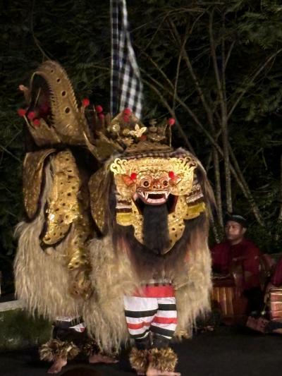 バリ島、シンガポール旅行　その３