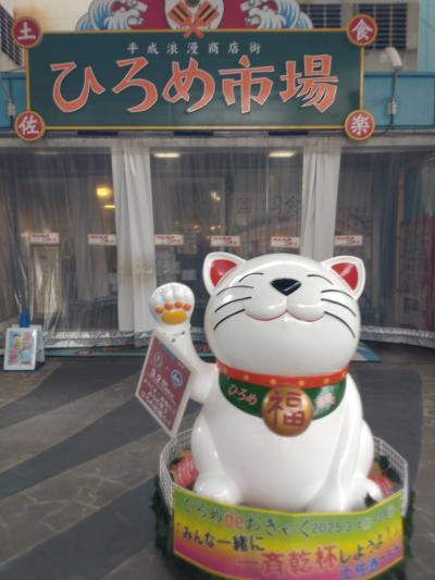 アラフィフ夫婦の高知旅行 Part1