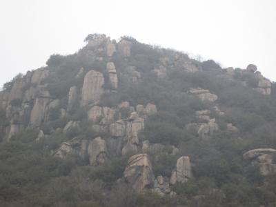 王子が岳(新割山)