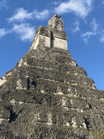 いざTikal 遺跡へ　2025年2月27日から3月1日まで⑨