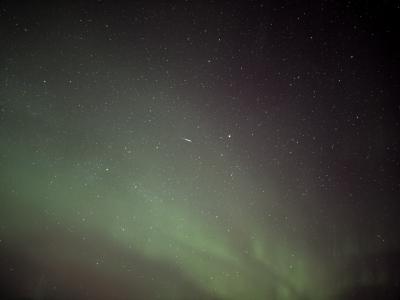 2025年2月カナダ・オーロラツアー③2/21(ユーコン野生動物保護区。オーロラ観賞2日目)