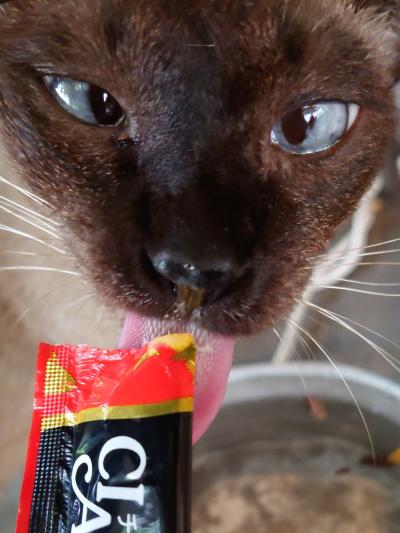 2025年11月 4回目のバンコク 3日目 ルンピニー公園 食べ歩き