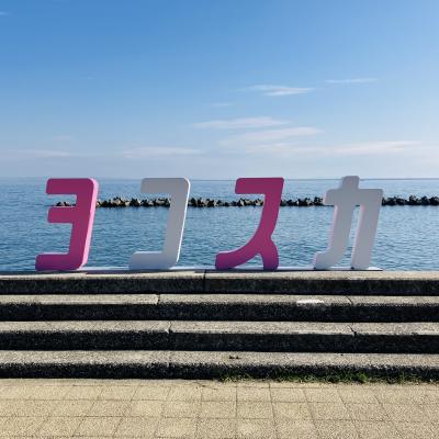 三浦海岸の河津桜は見頃でした~途中下車して#ジハングン~