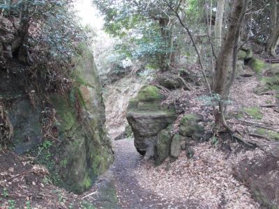 衣張山登山(2)