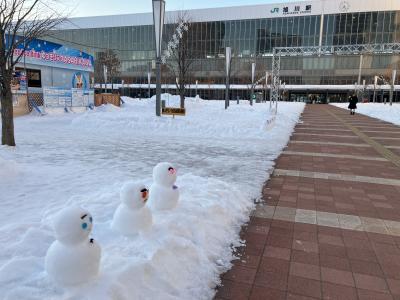 大人の休日倶楽部パス②（札幌→稚内→旭川→網走）