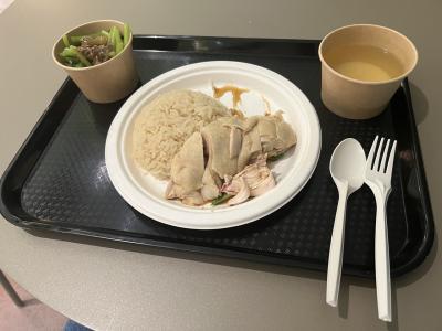 ソロトラベラー(オーストラリア ケアンズ チャンギ国際空港トランジット編)♯512