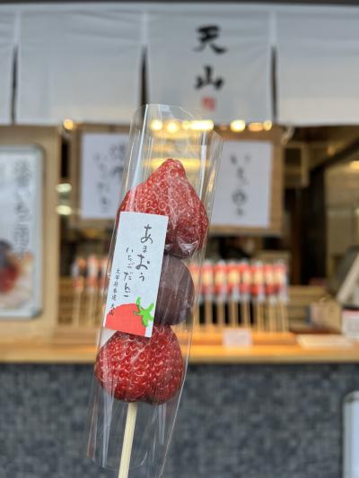 ハラハラドキドキしながら決行した福岡日帰り旅、、、のはずだったのに～