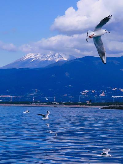 沼津‐3　沼津港遊覧クルーズb　富士山を眺め深海を感じて　☆駿河湾の最深部は2,500ｍも