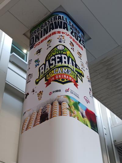 2025年プロ野球沖縄キャンプ見学