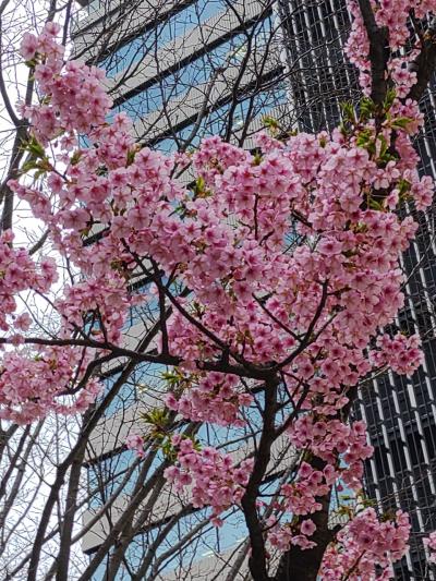 カバーズフェス&食と農エールコンサート