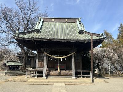 観梅：東方天満宮で紅梅・白梅・蝋梅の一気見