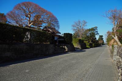ふらっと立ち飲みしながら幕末の雄藩：薩摩藩の功績を辿るゆるり旅 in 鹿児島★2024-2025　08　7日目【出水⇒鹿児島】