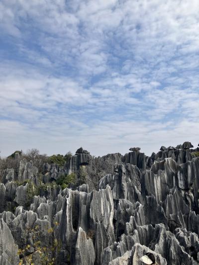 2025年1月 中国東方航空で行く昆明③　石林