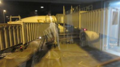 ずっと行きたかった国、エジプト