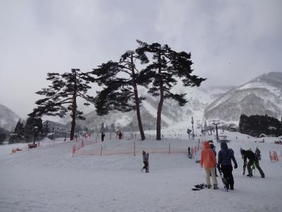 白馬五竜スキー行