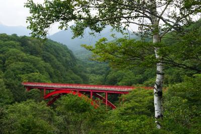 夏の終わりを楽しむ甲州＆信州 家族旅♪ （後編） あわや担架か！? カメラが壊れた！?　小海線沿線、信濃追分、軽井沢