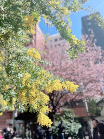 アラカン女子の東京散歩