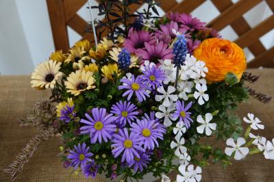 東部鉢花展覧会【はちはな展】 in 楽寿園