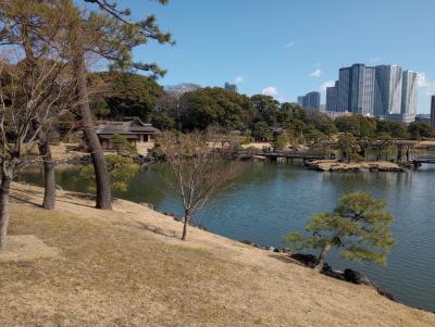 増上寺参拝と芝離宮、浜離宮散策