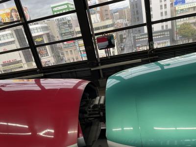 十和田湖・奥入瀬・下北半島・函館 5/5