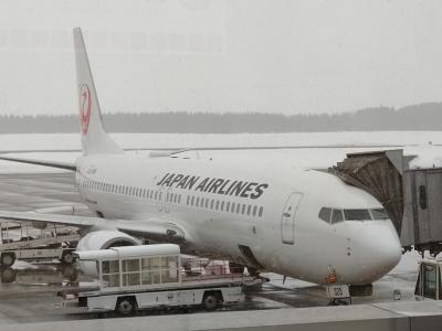 JAL振替え便で行く帯広日帰り旅