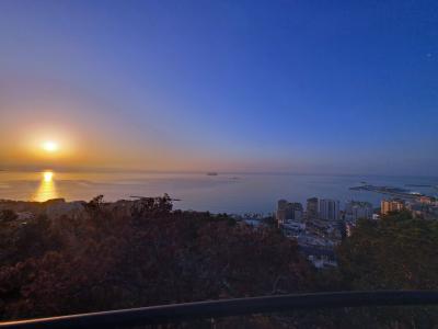 2025.2 アーモンドの花と鈴なりのオレンジに癒される 2月のアンダルシア 8.ピカソのマラガ 最高!2/2