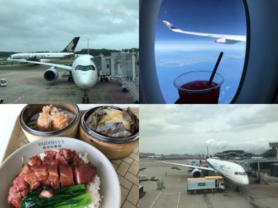 10回目のシンガポールへ行く旅 その3 シンガポール航空とANAで香港を経由し帰国