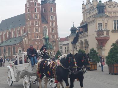 【世界遺産巡り】ポーランド　クラクフへの旅　初日～3日目